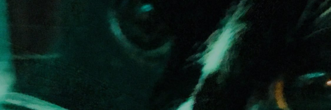 MissHeidiFox's profile banner image