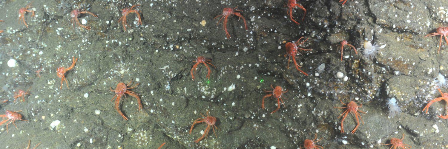 Jackson Chu, PhD 🍁@jwfchu.bsky.social banner