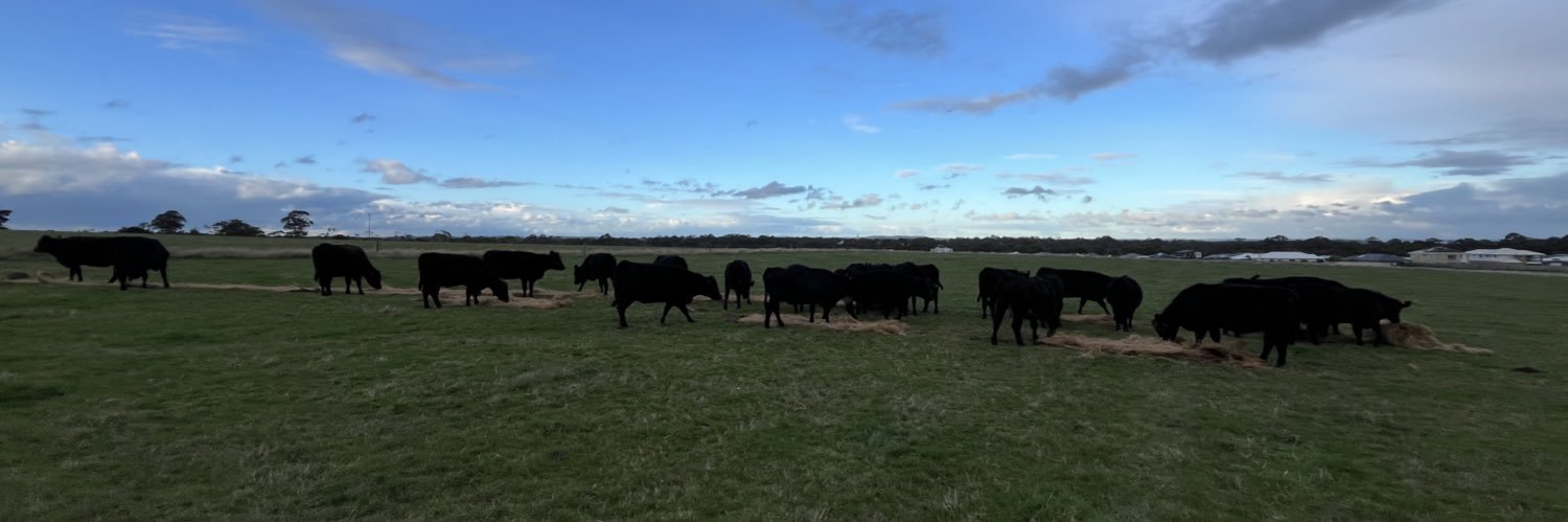 JPD_Australia06's profile banner image