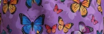 🦋ʚĭɞ banner