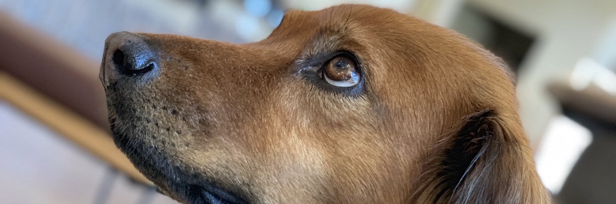 funkiershit's profile banner image