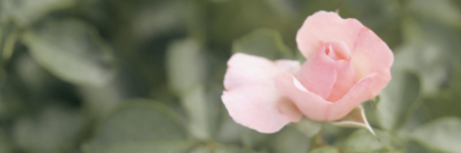 MAMEAWKII's profile banner image