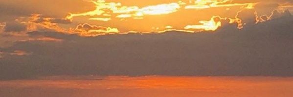 primoteso's profile banner image