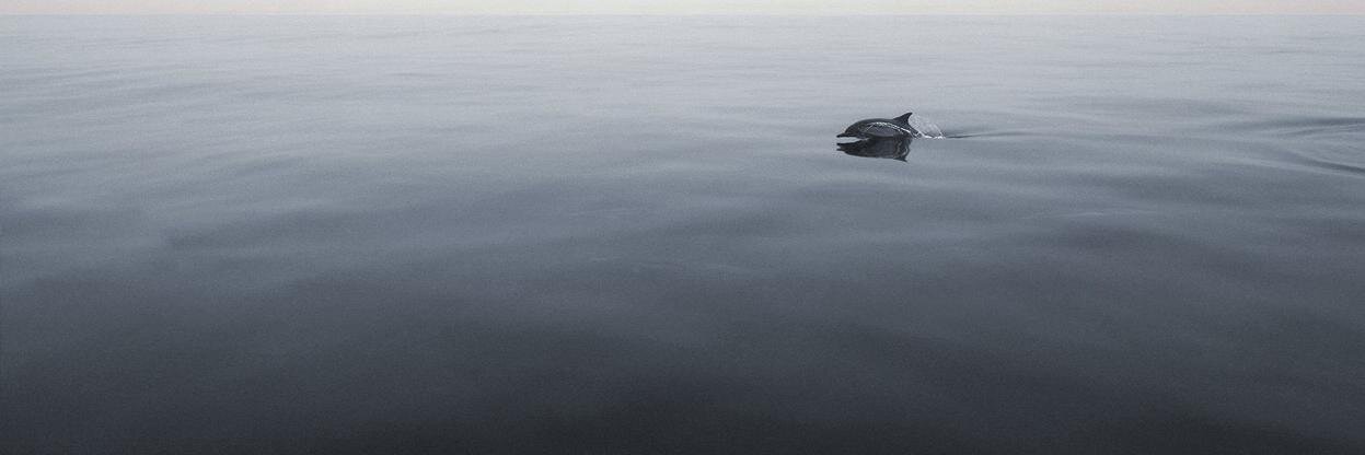 maloprop's profile banner image