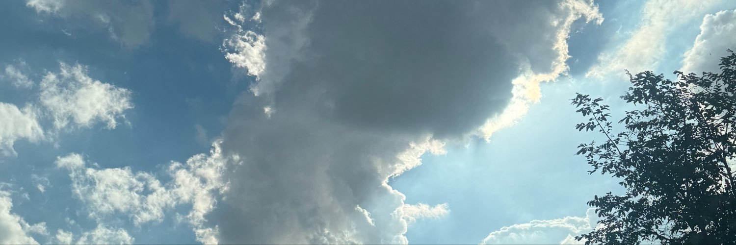 Annkibstamp's profile banner image