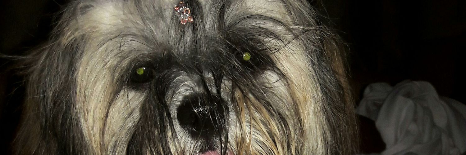 Kahc26's profile banner image