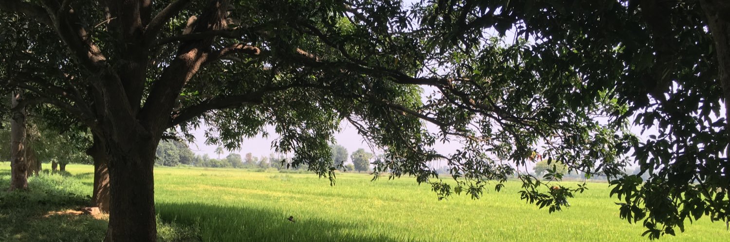 biswazoom's profile banner image
