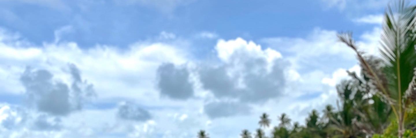 Cavasconcelos14's profile banner image