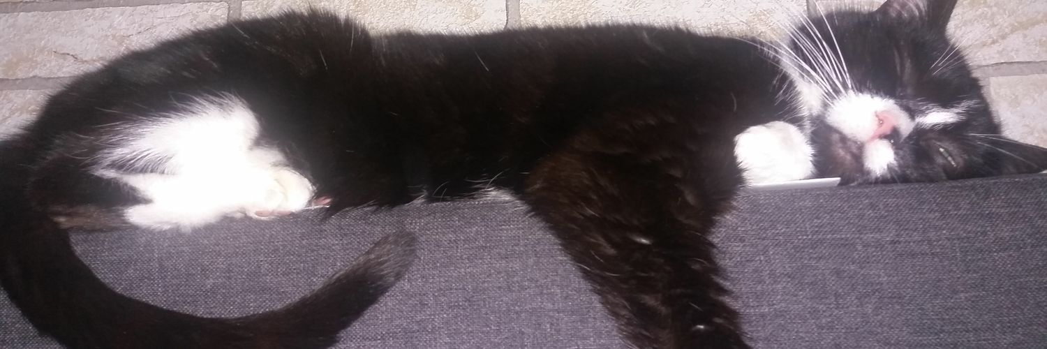 Yuma🇺🇦🕸️🇬🇪 banner