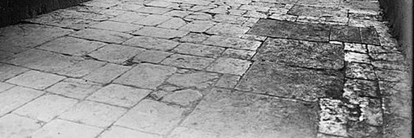 Legacy_831 Profile Banner