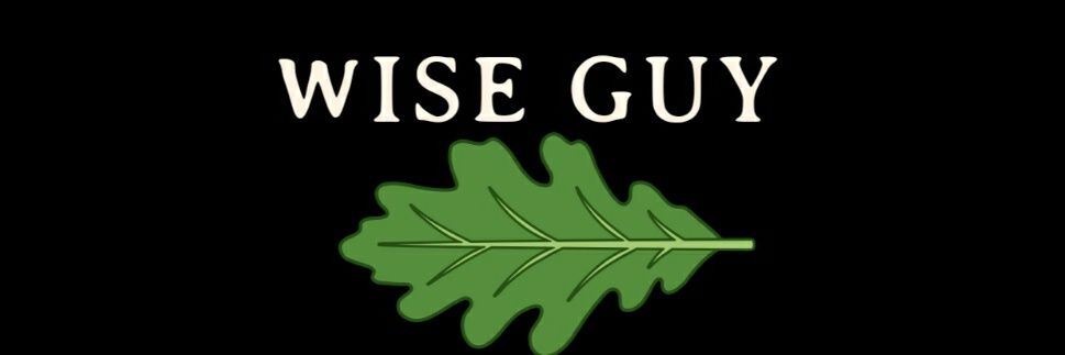 WISE GUY banner
