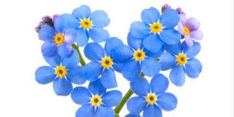 NikkiDiddams's profile banner image