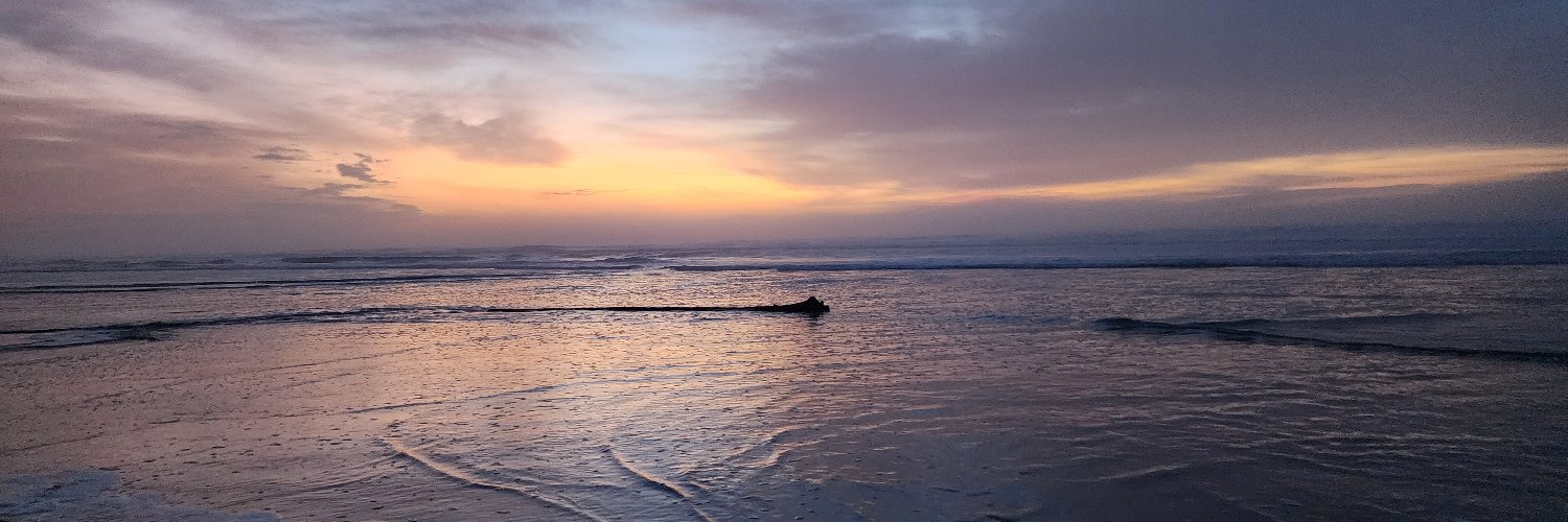 Lisa Smith-Williams banner