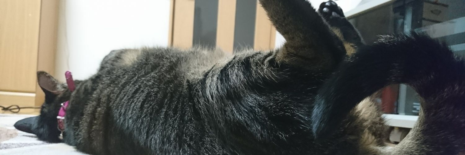 Prishake's profile banner image