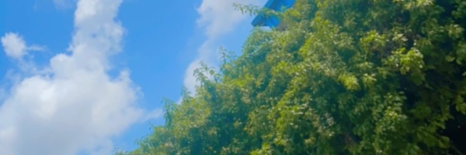 Dharmie_t's profile banner image