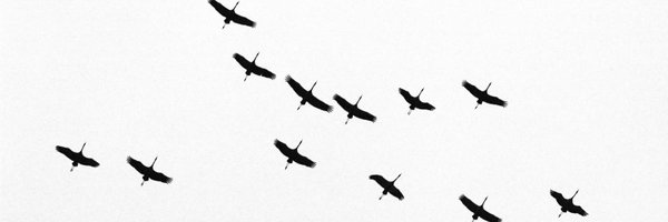 henry_bernhard Profile Banner