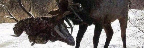 1takearisk's profile banner image