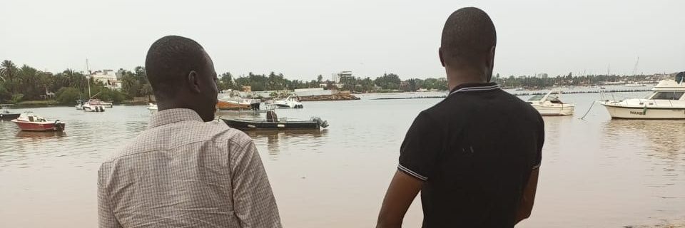 bambaalidiop's profile banner image