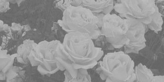 CheryRPGLBC2's profile banner image