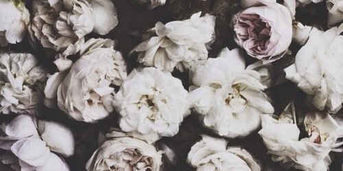 j_jesaja's profile banner image