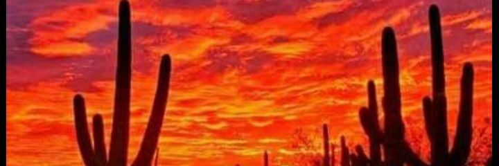 Frost84's profile banner image