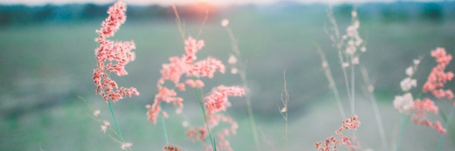 TaraB_MD's profile banner image