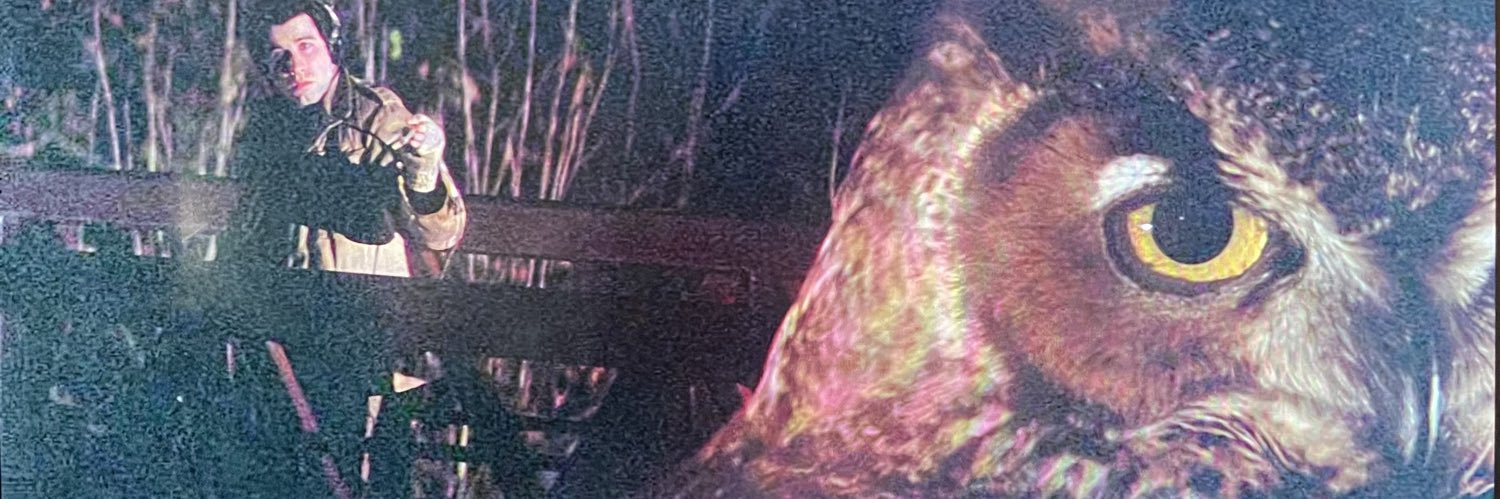 chumunculus's profile banner image