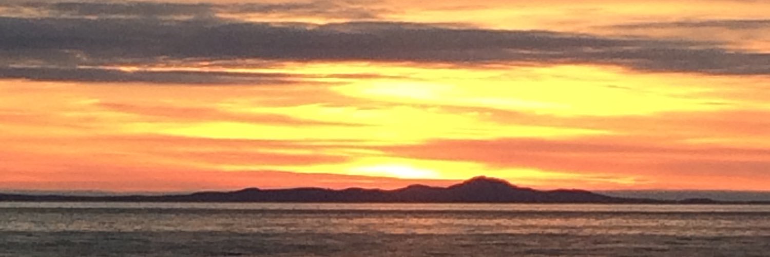 pippapeverel's profile banner image