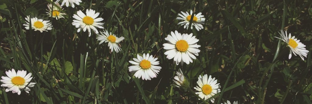 cdtoledoc's profile banner image