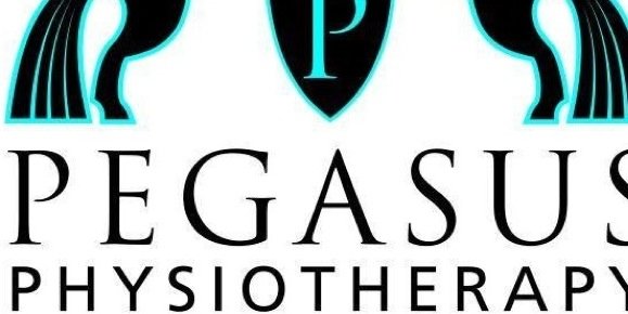 pegasusphysio's profile banner image