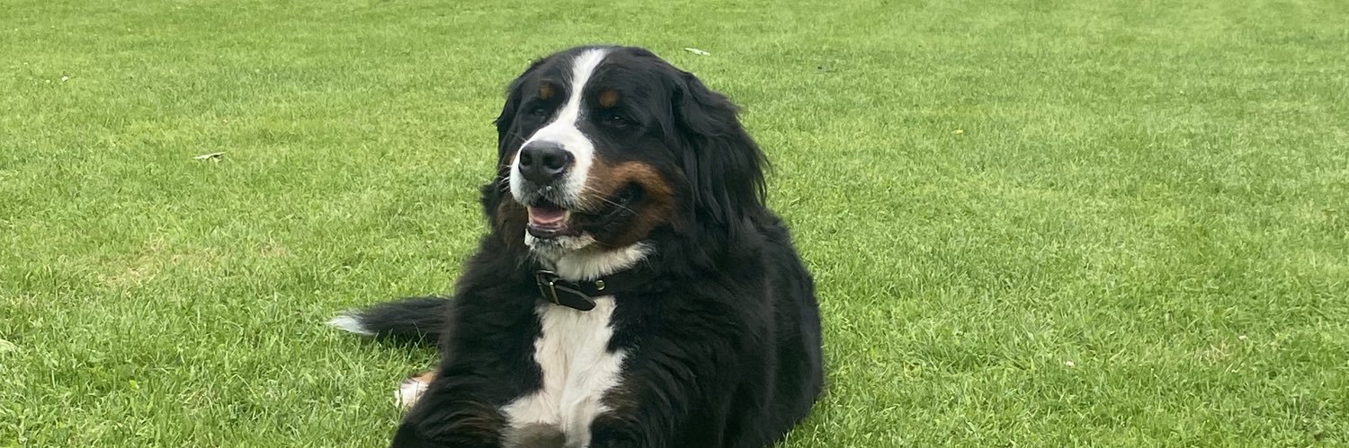 hond_is's profile banner image