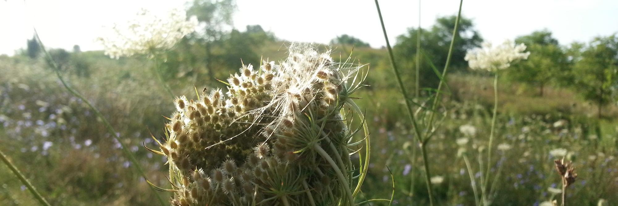 EustonPark's profile banner image