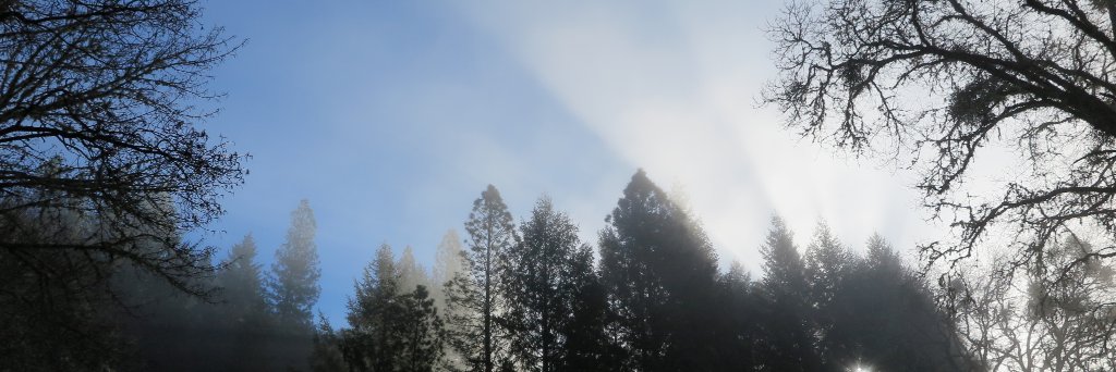 jsiebeck's profile banner image