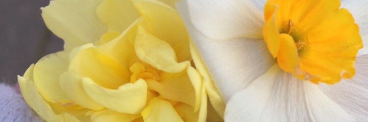 ambergreenshit's profile banner image