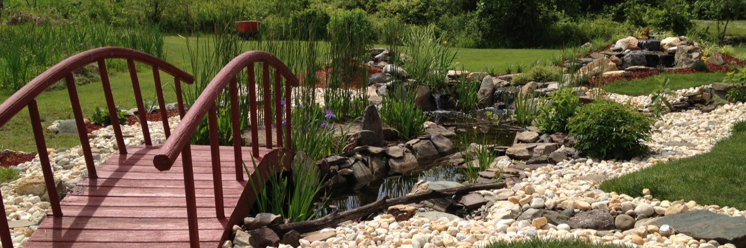 dianepruner's profile banner image