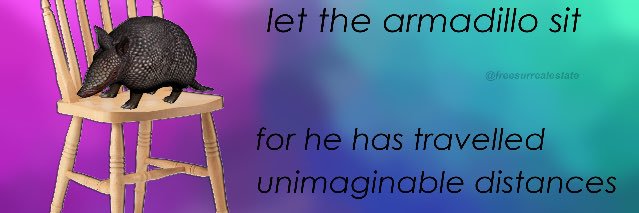 Darwin Siuuunez banner