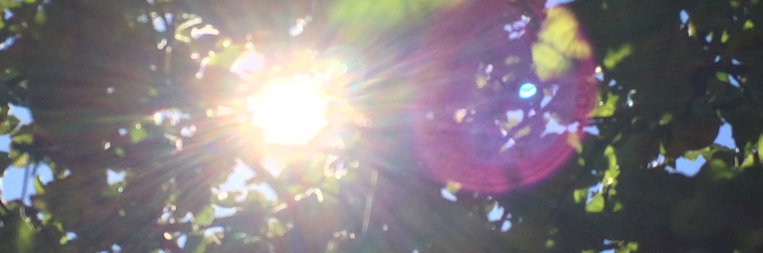 Delfinator11's profile banner image