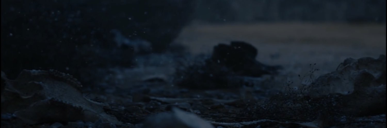 winter887887's profile banner image