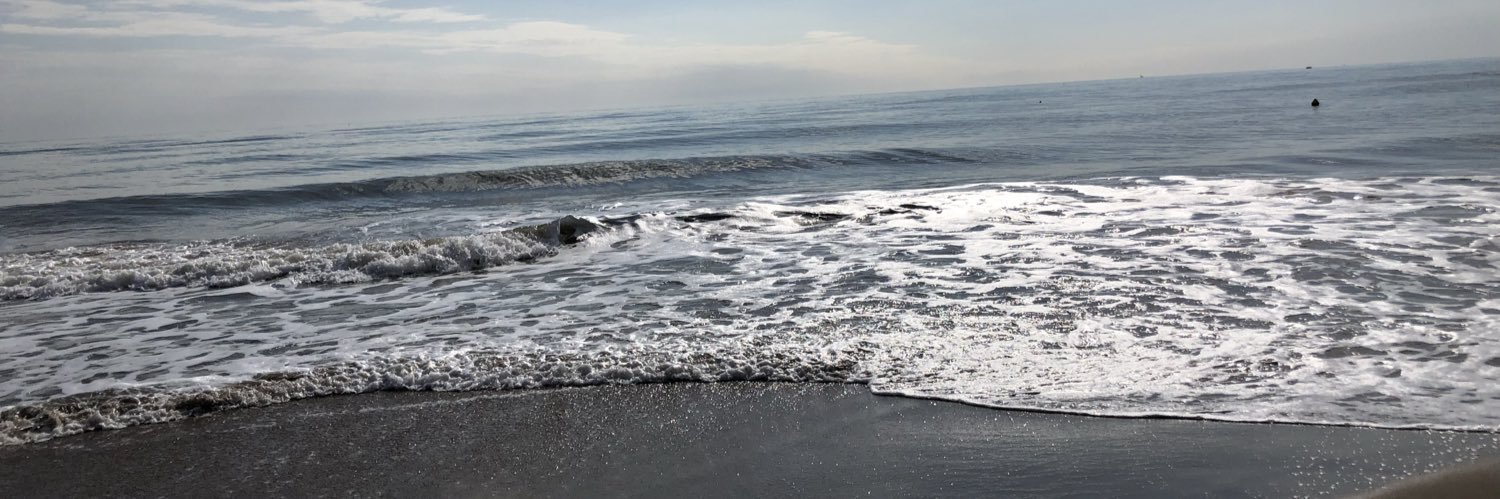 Rosa M. Sánchez banner