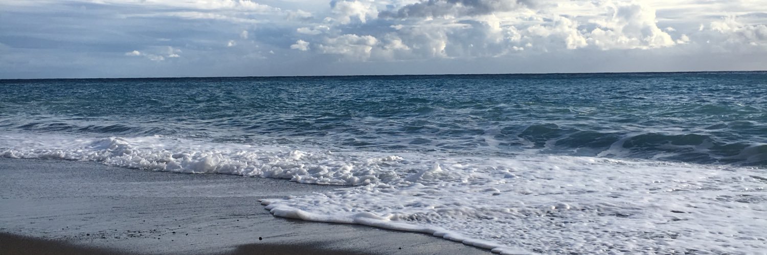 RenaCangelli's profile banner image