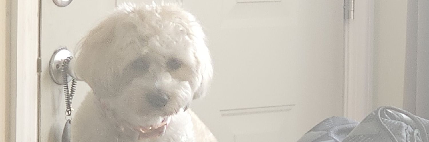 EMomperousse's profile banner image