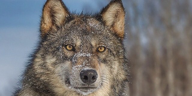 jstanley28's profile banner image