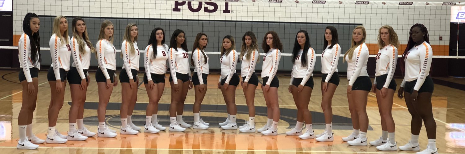 PostVball's profile banner image