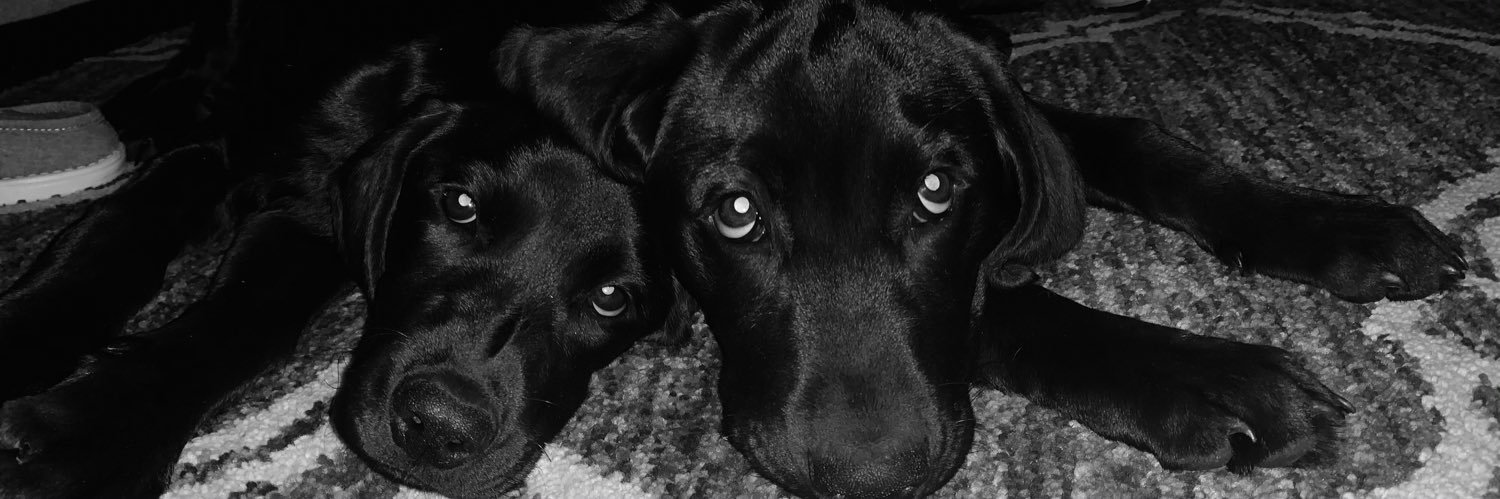 kelseyeboyd's profile banner image