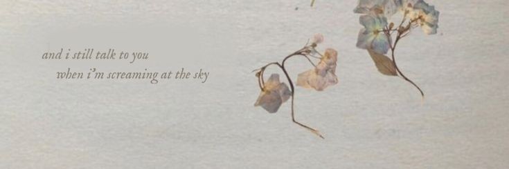 willowyygal's profile banner image