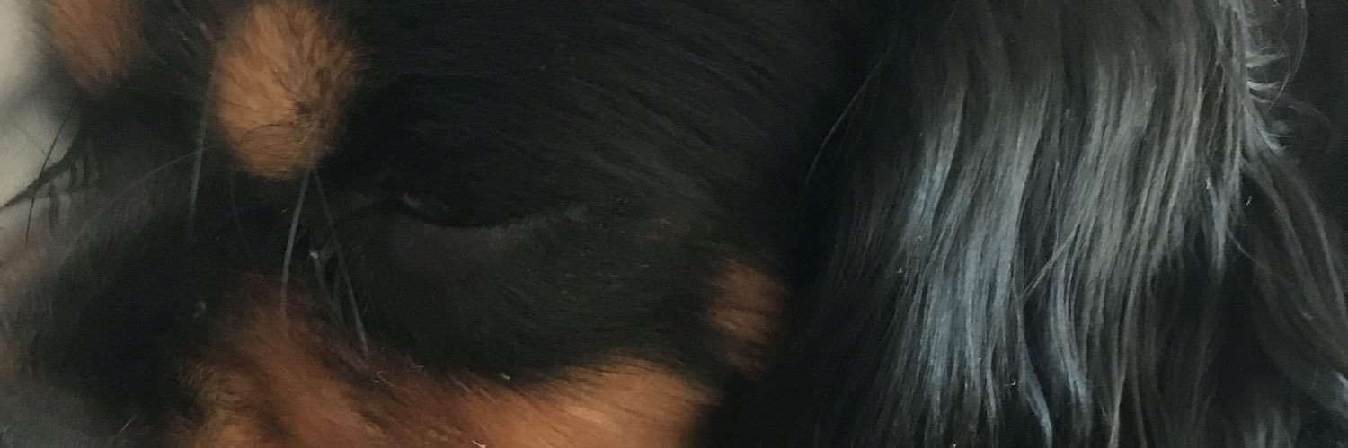 ciaralawson's profile banner image