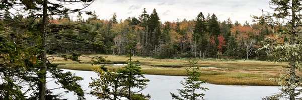 WDupley Profile Banner