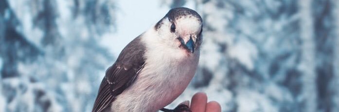 itz'manol كود فورت نايت KHFC banner