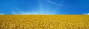 idealkrivbas's profile banner image
