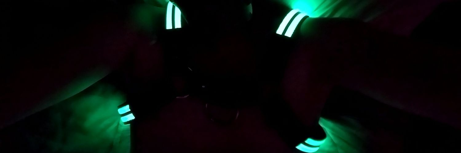 DoberDog90's profile banner image